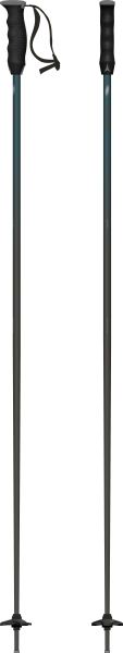Atomic REDSTER Q-DARK SLATE Skistöcke